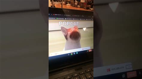 popcat unblocked|popcat auto clicker.